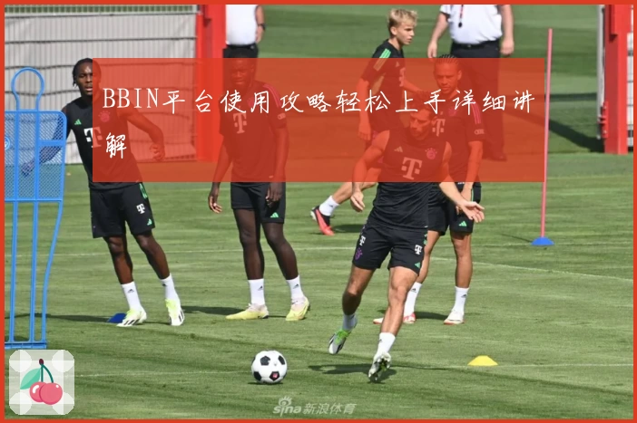 BBIN平台使用攻略轻松上手详细讲解