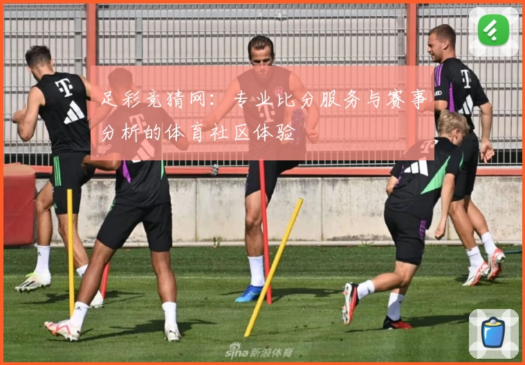 足彩竞猜网:专业比分服务与赛事分析的体育社区体验
