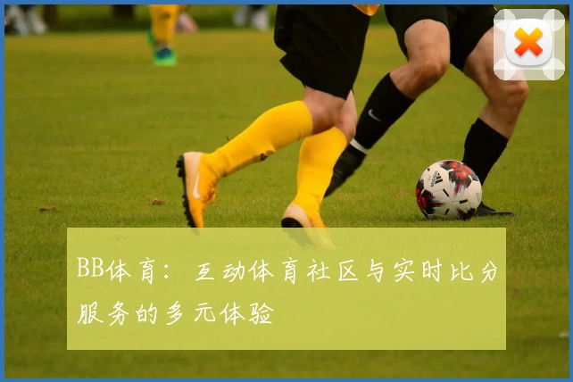 BB体育：互动体育社区与实时比分服务的多元体验