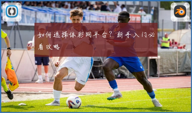 如何选择体彩网平台?新手入门必看攻略