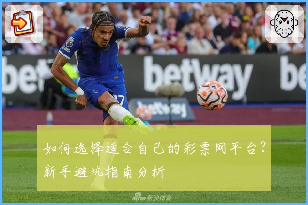 如何选择适合自己的彩票网平台?新手避坑指南分析
