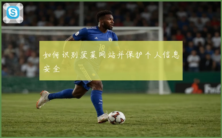 如何识别菠菜网站并保护个人信息安全