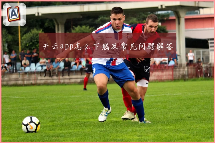 开云app怎么下载及常见问题解答