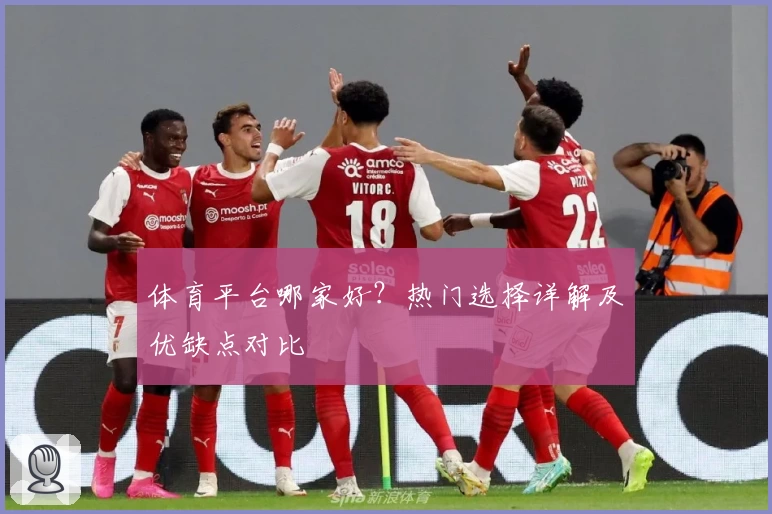 体育平台哪家好?热门选择详解及优缺点对比