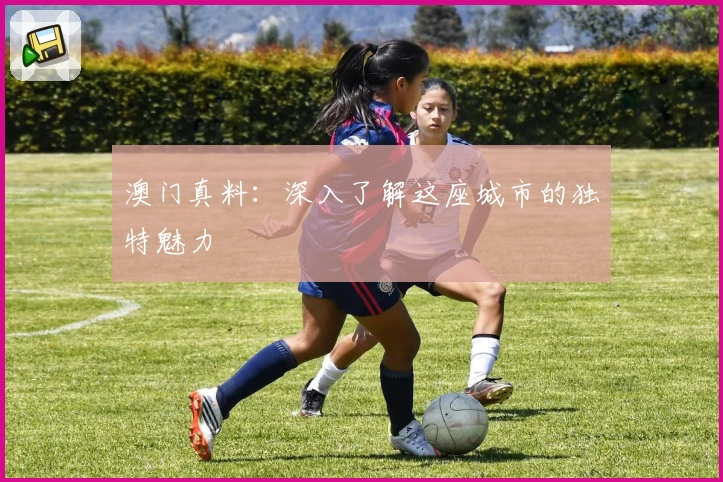 澳门真料:深入了解这座城市的独特魅力