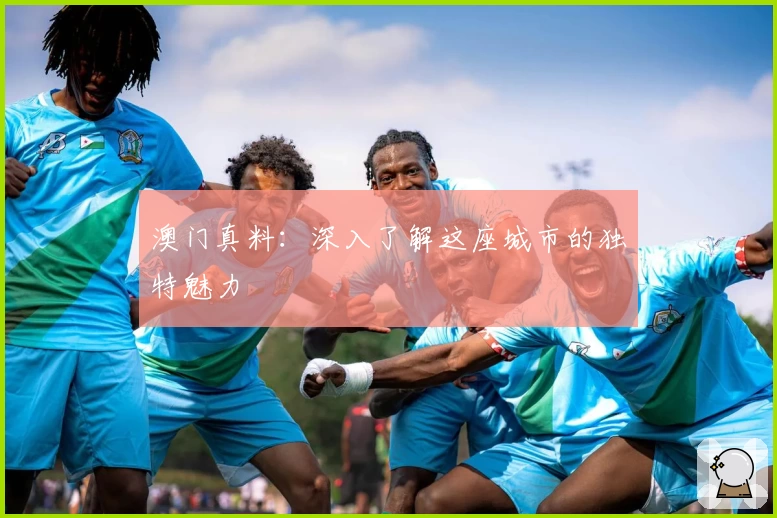 澳门真料:深入了解这座城市的独特魅力