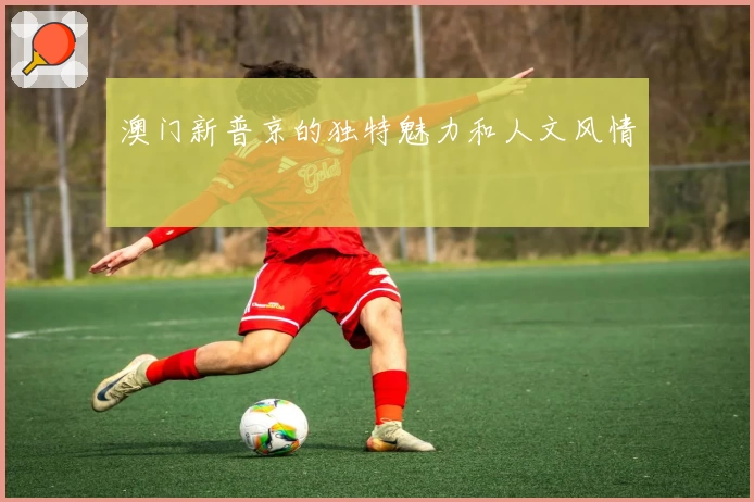澳门新普京的独特魅力和人文风情
