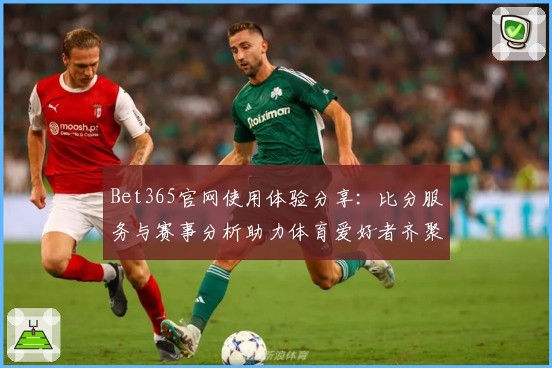 Bet365官网使用体验分享：比分服务与赛事分析助力体育爱好者齐聚