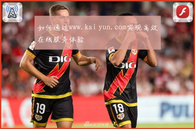 如何通过www.kai yun.com实现高效在线服务体验