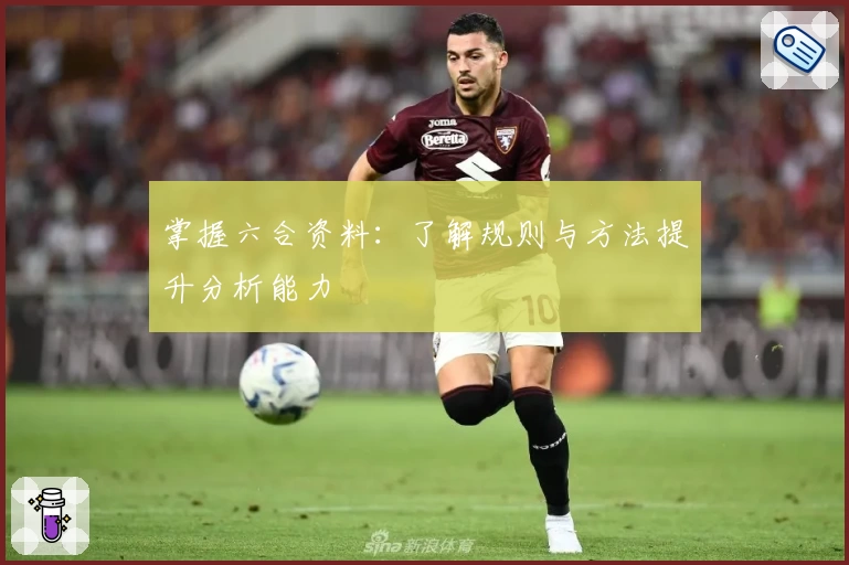 掌握六合资料：了解规则与方法提升分析能力