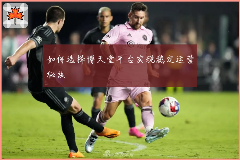 如何选择博天堂平台实现稳定运营秘诀