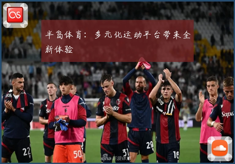 半岛体育：多元化运动平台带来全新体验