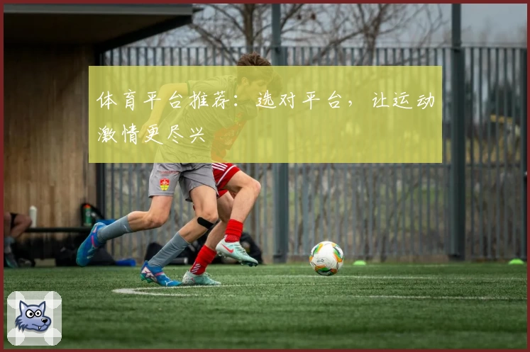 体育平台推荐:选对平台,让运动激情更尽兴