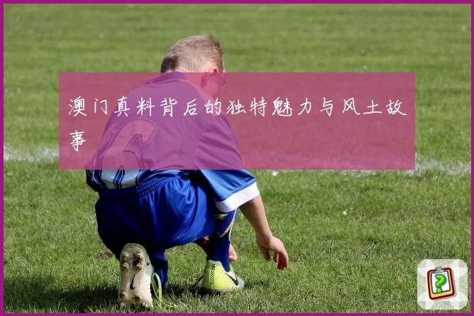 澳门真料背后的独特魅力与风土故事
