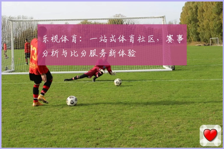 乐视体育:一站式体育社区,赛事分析与比分服务新体验