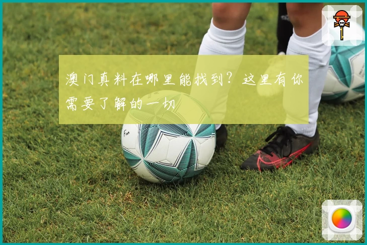 澳门真料在哪里能找到?这里有你需要了解的一切