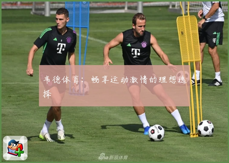 韦德体育:畅享运动激情的理想选择