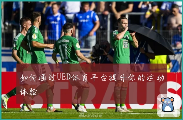 如何通过UED体育平台提升你的运动体验