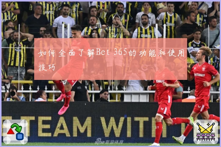 如何全面了解Bet 365的功能和使用技巧