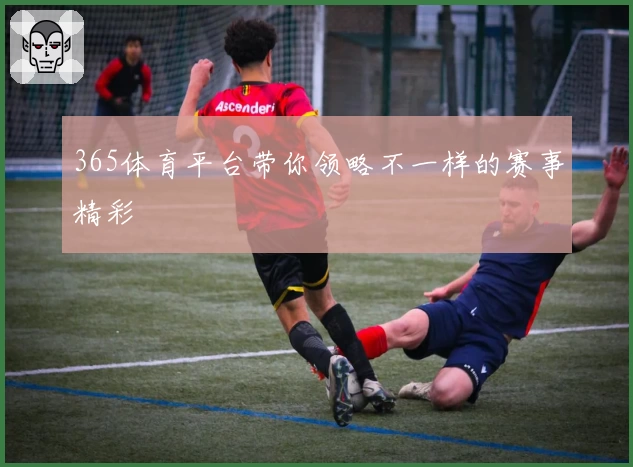365体育平台带你领略不一样的赛事精彩