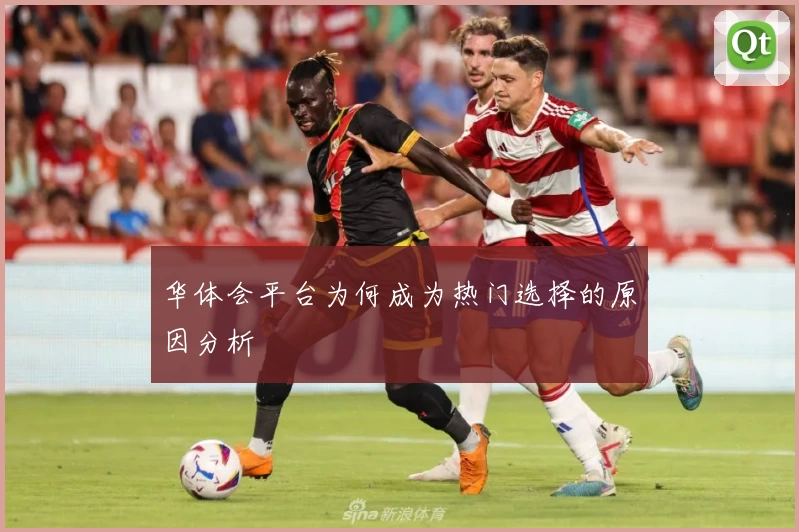 华体会平台为何成为热门选择的原因分析