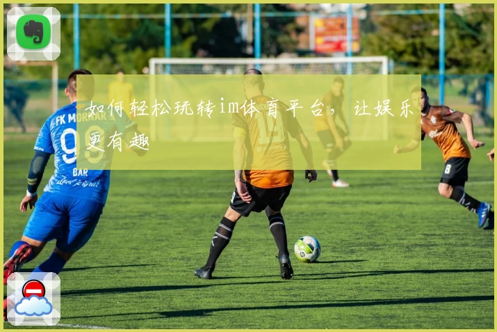 如何轻松玩转im体育平台,让娱乐更有趣