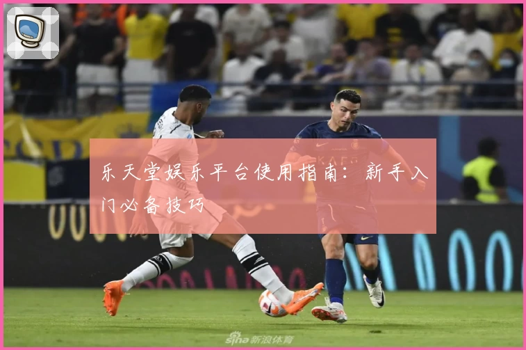 乐天堂娱乐平台使用指南:新手入门必备技巧