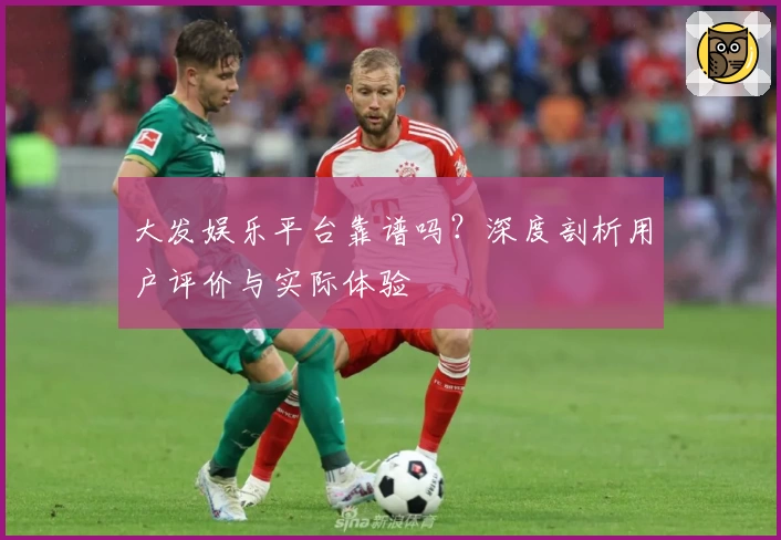 大发娱乐平台靠谱吗?深度剖析用户评价与实际体验
