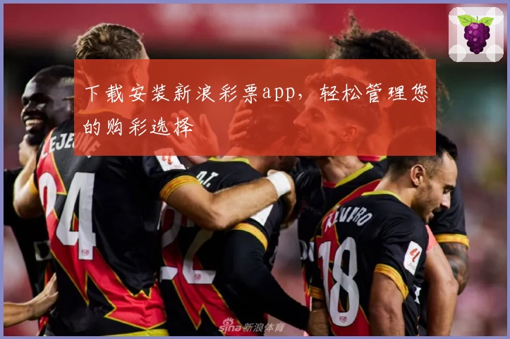 下载安装新浪彩票app,轻松管理您的购彩选择