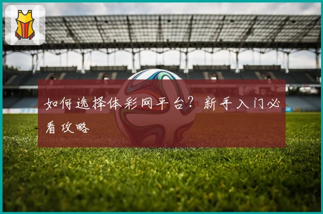 如何选择体彩网平台?新手入门必看攻略