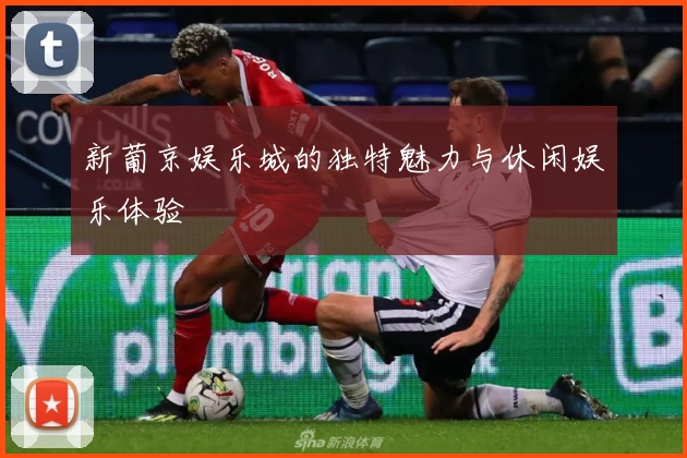 新葡京娱乐城的独特魅力与休闲娱乐体验