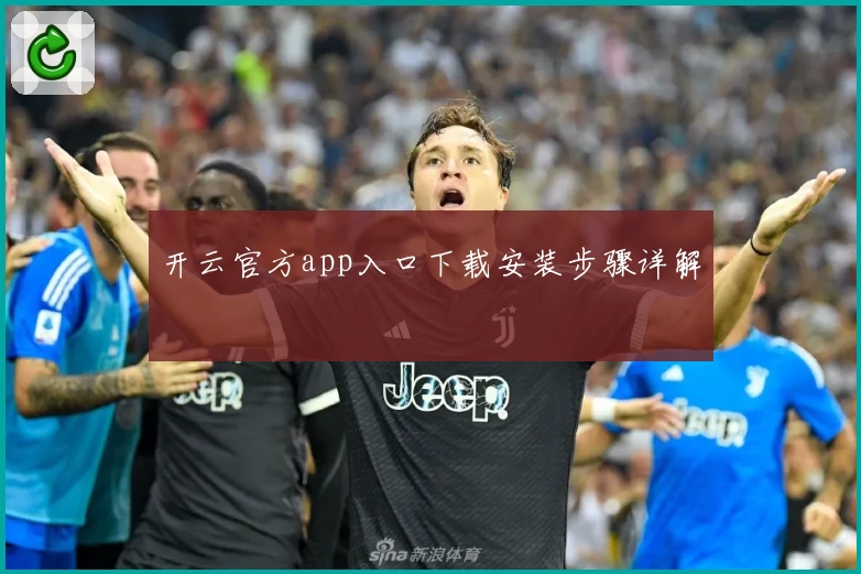 开云官方app入口下载安装步骤详解