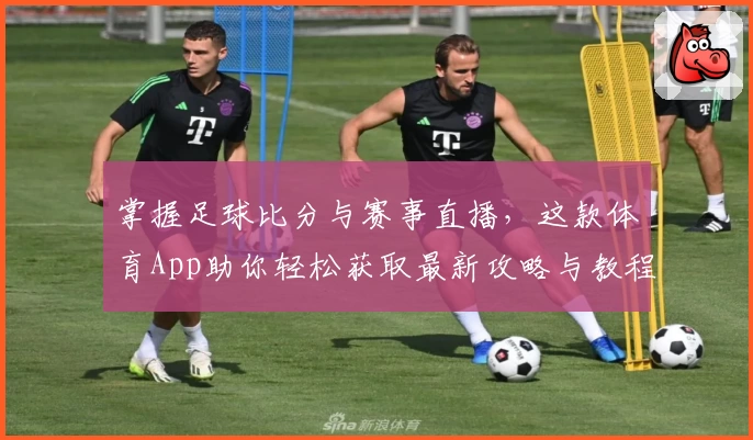 掌握足球比分与赛事直播，这款体育App助你轻松获取最新攻略与教程