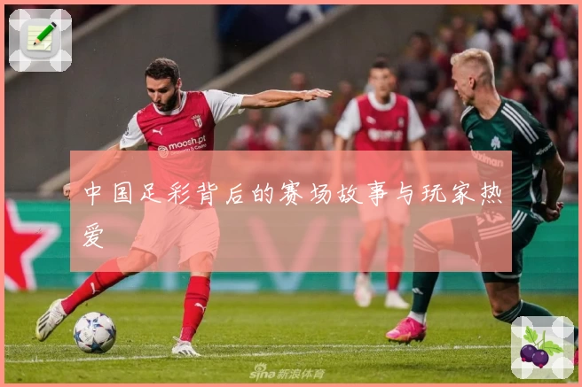 中国足彩背后的赛场故事与玩家热爱