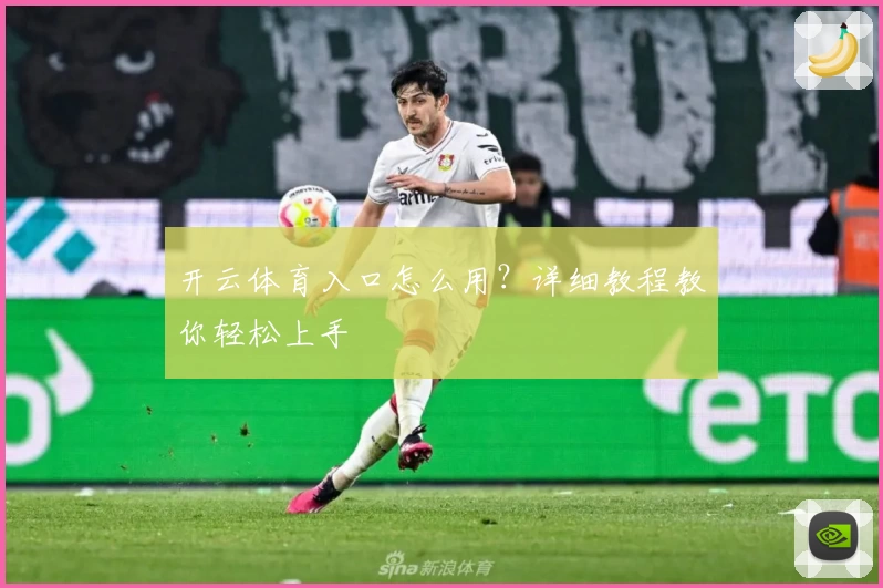 开云体育入口怎么用?详细教程教你轻松上手