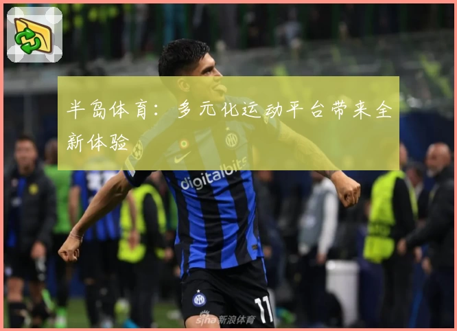 半岛体育：多元化运动平台带来全新体验