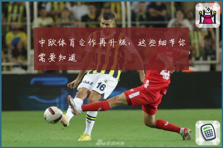 中欧体育合作再升级,这些细节你需要知道