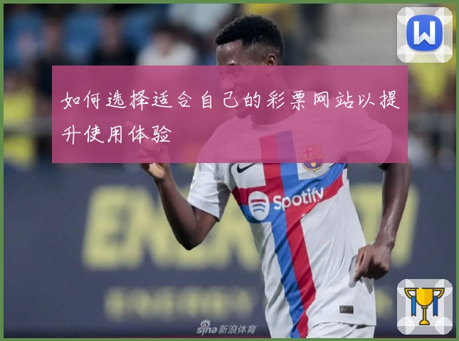 如何选择适合自己的彩票网站以提升使用体验