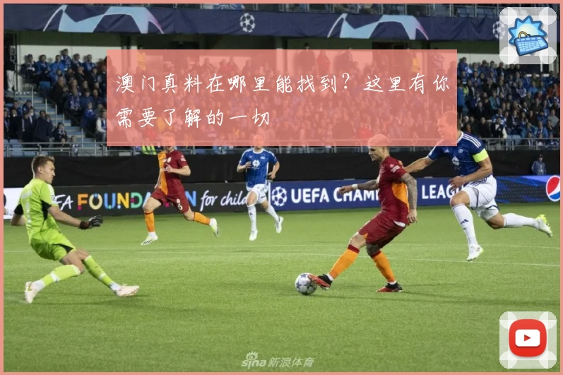 澳门真料在哪里能找到?这里有你需要了解的一切