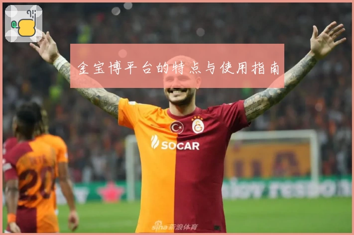 金宝博平台的特点与使用指南