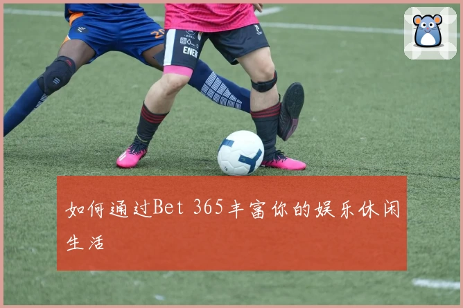 如何通过Bet 365丰富你的娱乐休闲生活