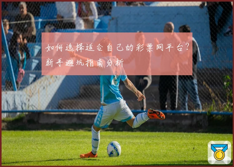 如何选择适合自己的彩票网平台?新手避坑指南分析