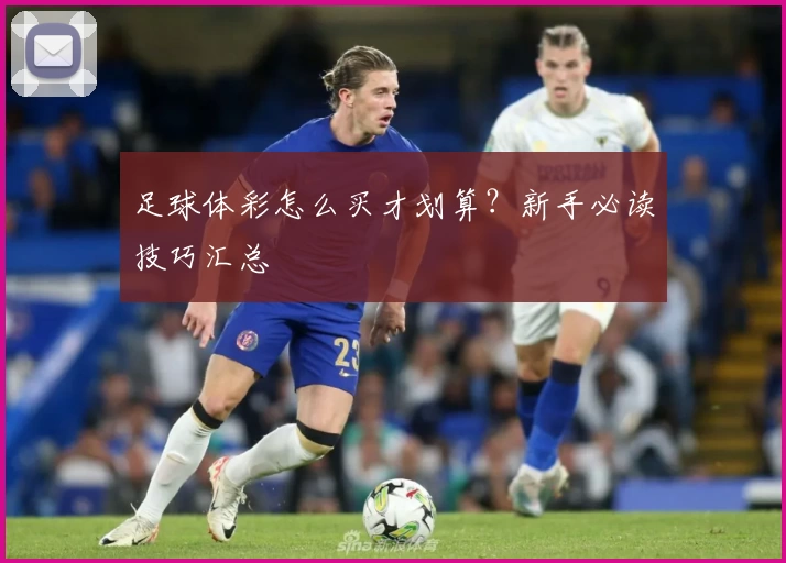 足球体彩怎么买才划算？新手必读技巧汇总