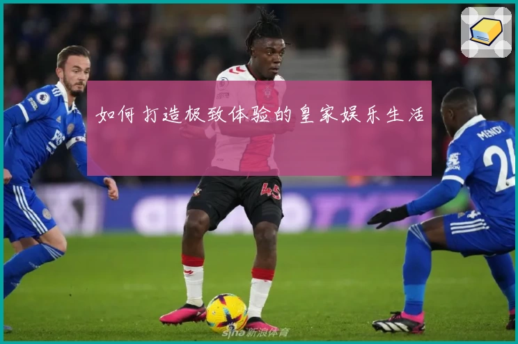 如何打造极致体验的皇家娱乐生活