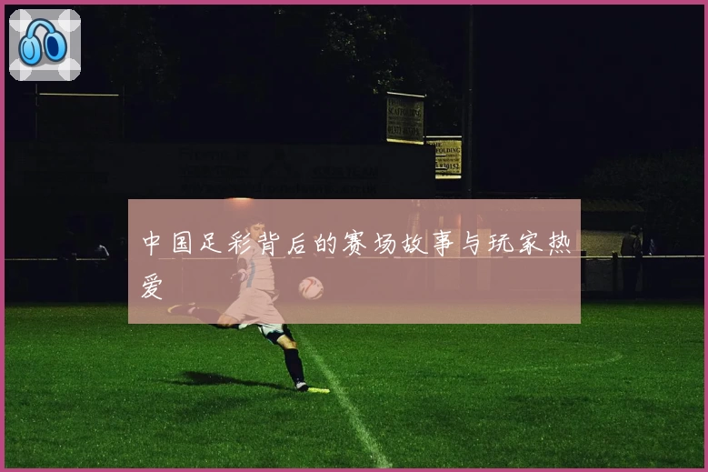 中国足彩背后的赛场故事与玩家热爱