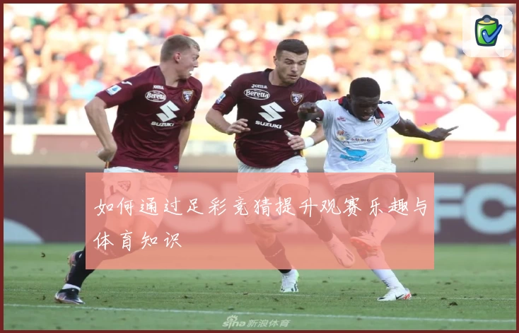 如何通过足彩竞猜提升观赛乐趣与体育知识