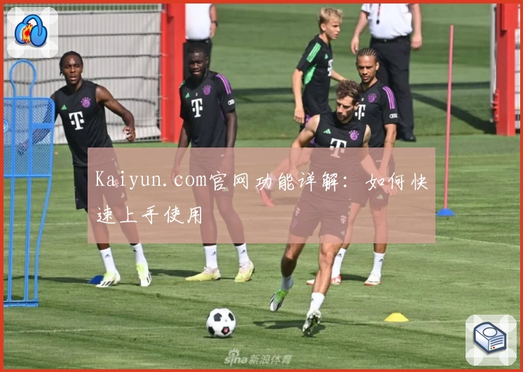 Kaiyun.com官网功能详解:如何快速上手使用