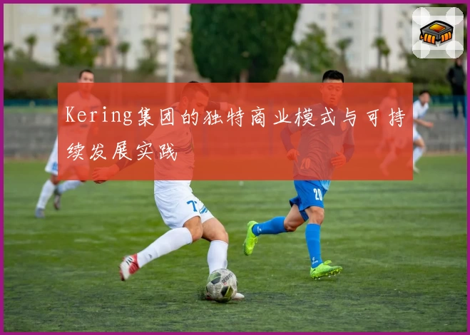 Kering集团的独特商业模式与可持续发展实践