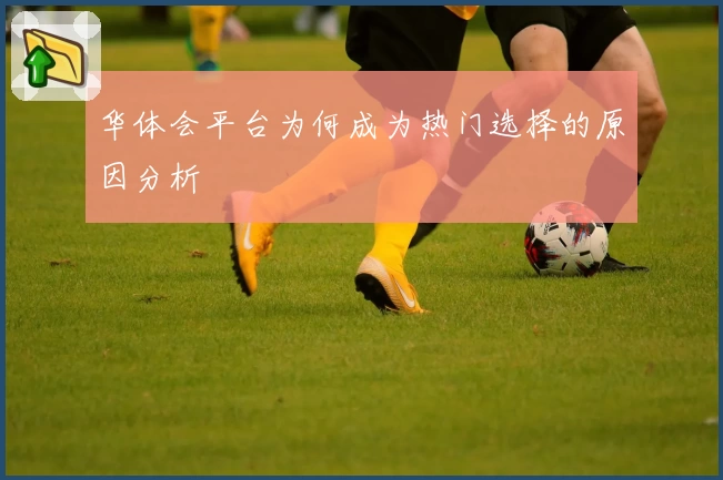 华体会平台为何成为热门选择的原因分析