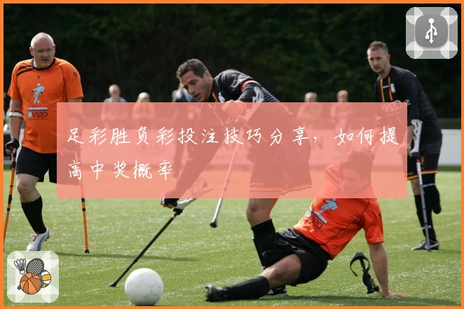 足彩胜负彩投注技巧分享,如何提高中奖概率